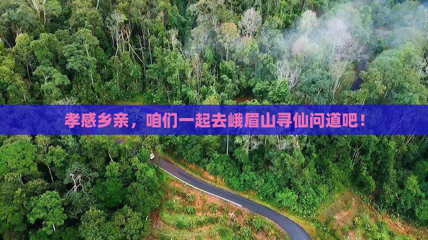 孝感到四川峨眉山大型旅游团