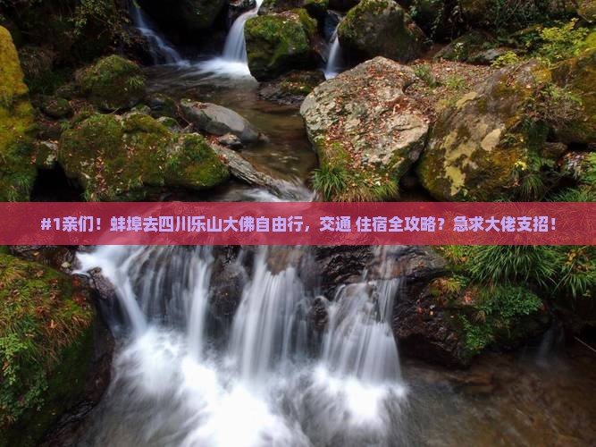 蚌埠到四川乐山大佛个人游