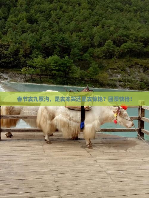 春节去四川九寨沟团体旅游