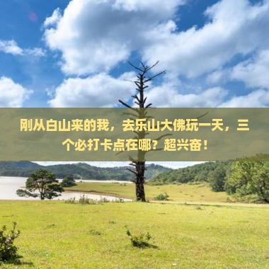 白山去四川乐山大佛一日