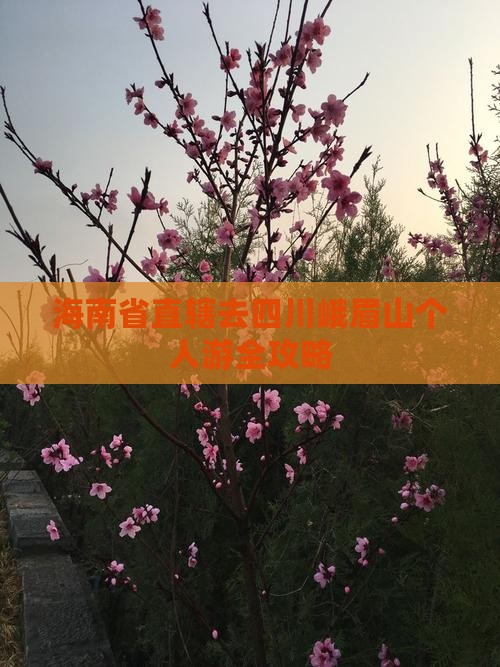 海南省直辖去四川峨眉山个人游