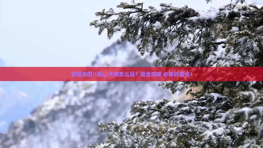 安阳去四川乐山大佛旅行社