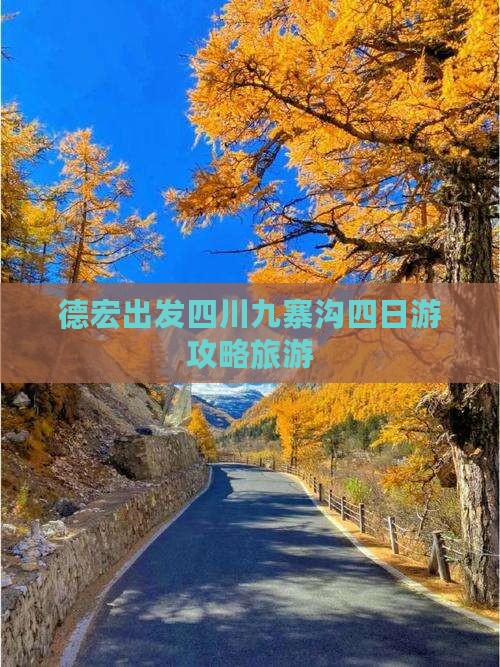 德宏去四川九寨沟四日游