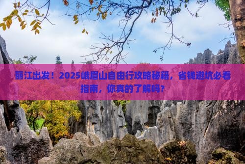 丽江去四川峨眉山自由团