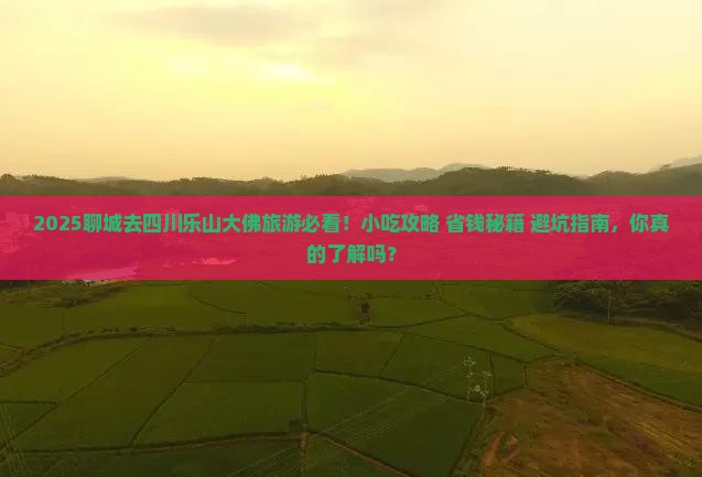 聊城去四川乐山大佛旅游小吃