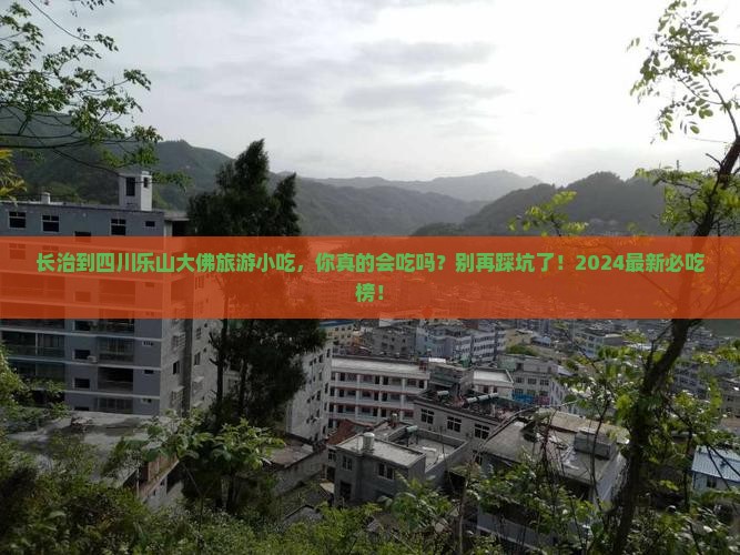 长治到四川乐山大佛旅游小吃