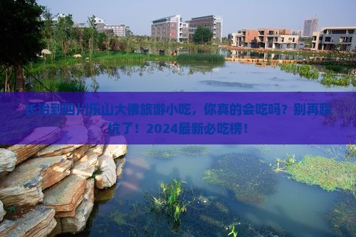 长治到四川乐山大佛旅游小吃