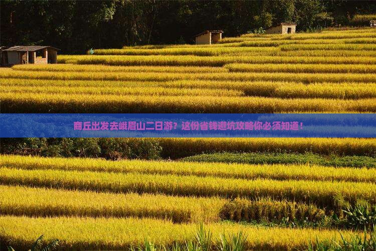商丘到四川峨眉山二日游