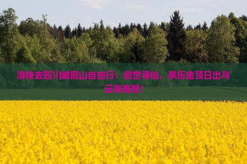 清徐去四川峨眉山自由行