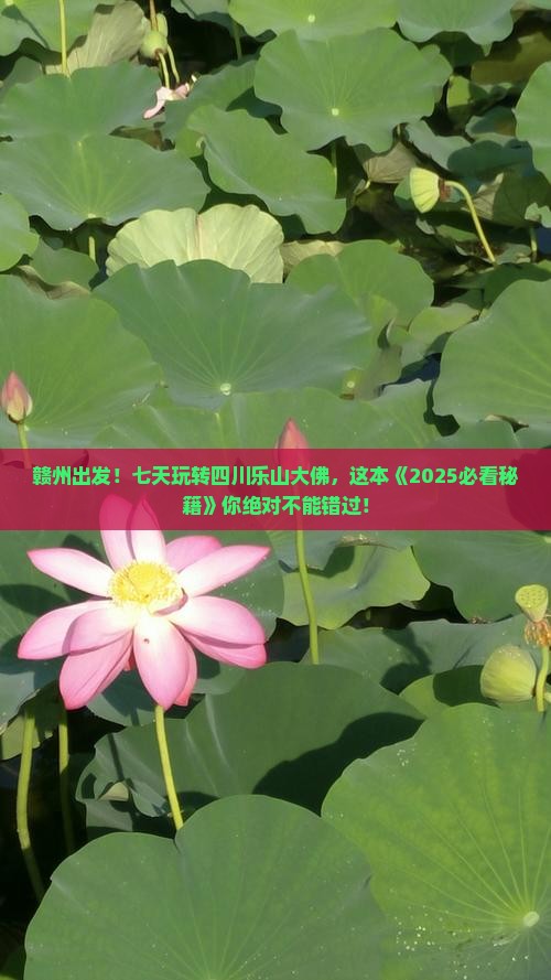 赣州到四川乐山大佛七日游