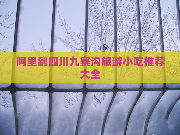 阿里到四川九寨沟旅游小吃