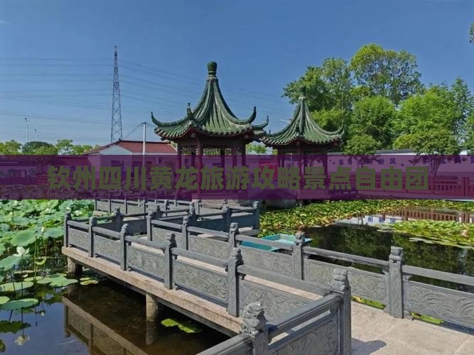 钦州去四川黄龙自由团