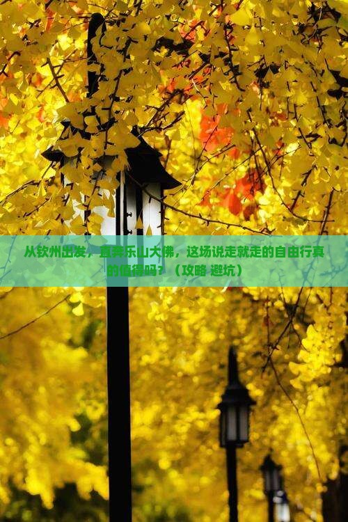 钦州到四川乐山大佛自由行
