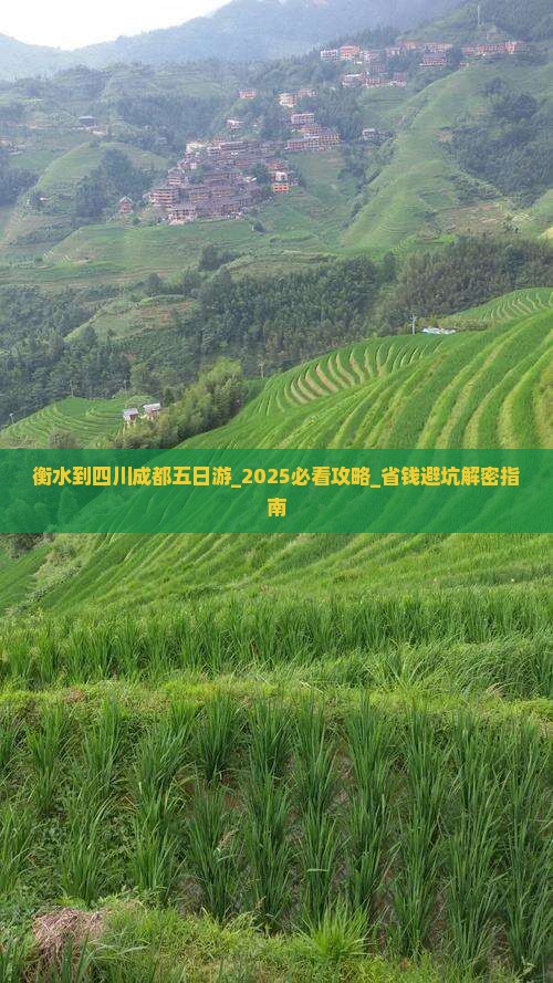 衡水到四川成都五日游
