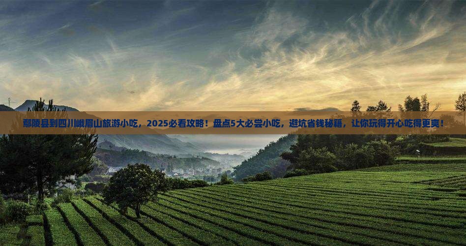 鄢陵县到四川峨眉山旅游小吃