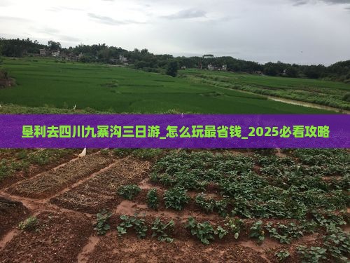 垦利去四川九寨沟三日游