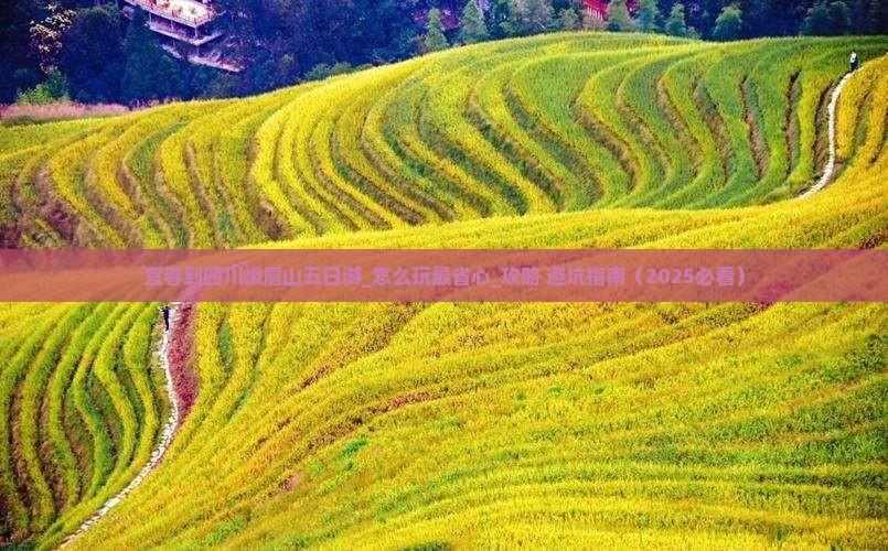 宜春到四川峨眉山五日游
