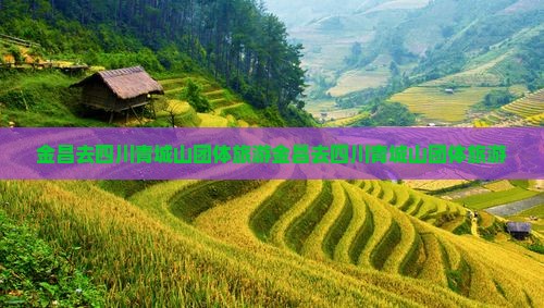 金昌去四川青城山团体旅游