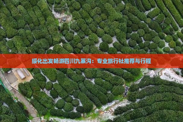 绥化出发畅游四川九寨沟：专业旅行社推荐与行程