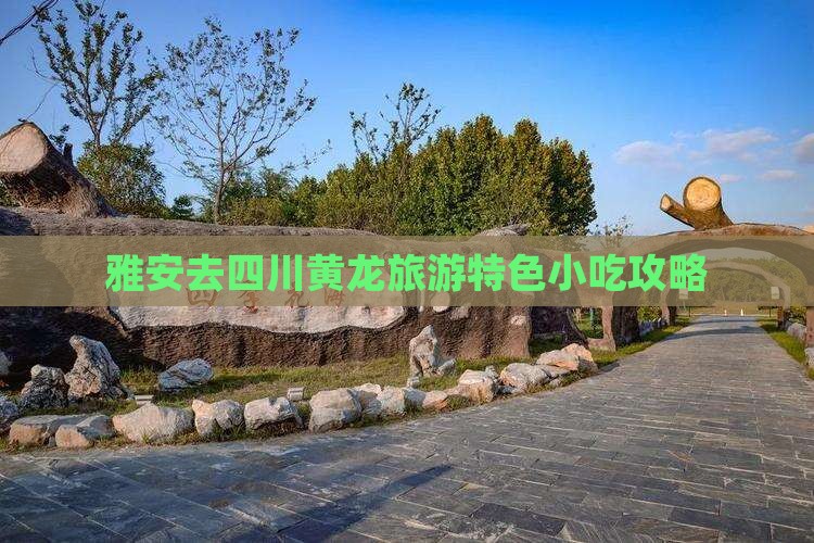 雅安去四川黄龙旅游特色小吃攻略