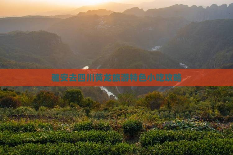 雅安去四川黄龙旅游特色小吃攻略