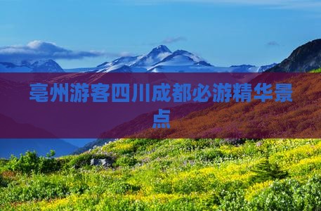 亳州游客四川成都必游精华景点