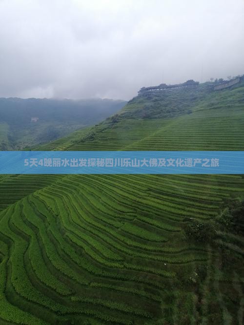 5天4晚丽水出发探秘四川乐山大佛及文化遗产之旅