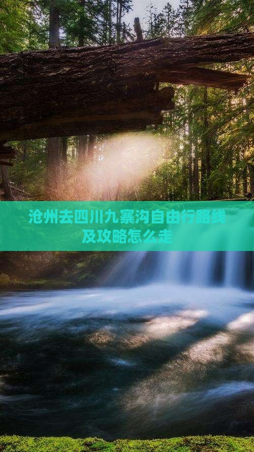 沧州去四川九寨沟自由行路线及攻略怎么走