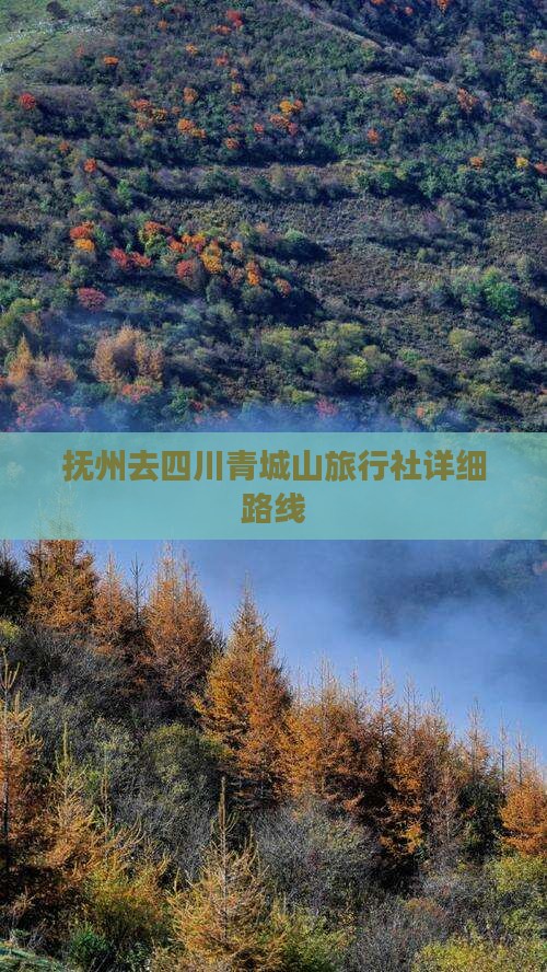 抚州去四川青城山旅行社详细路线
