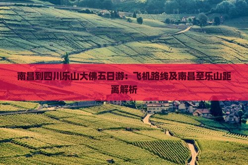南昌到四川乐山大佛五日游：飞机路线及南昌至乐山距离解析
