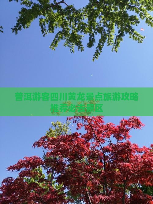 普洱游客四川黄龙景点旅游攻略推荐必去景区