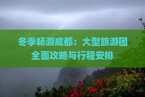 冬季畅游成都：大型旅游团全面攻略与行程安排