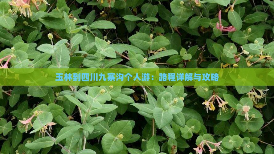 玉林到四川九寨沟个人游：路程详解与攻略