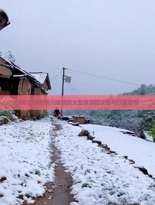 西双版纳到四川成都的大型旅游团攻略与行程推荐