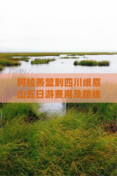 阿拉善盟到四川峨眉山五日游费用及路线解析