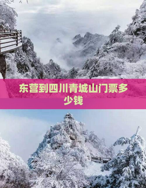 东营到四川青城山门票多少钱
