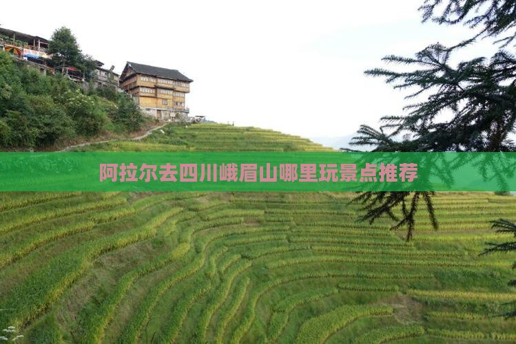 阿拉尔去四川峨眉山哪里玩景点推荐