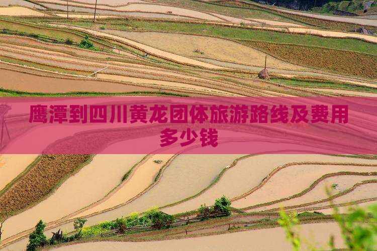 鹰潭到四川黄龙团体旅游路线及费用多少钱