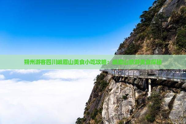 朔州游客四川峨眉山美食小吃攻略：峨眉山旅游美食探秘