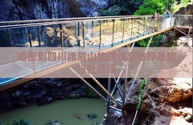 哈密到四川峨眉山旅游线路推荐及旅行社选择