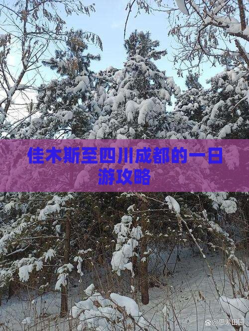 佳木斯至四川成都的一日游攻略