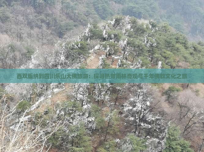 西双版纳到四川乐山大佛旅游：探寻热带雨林奇观与千年佛教文化之旅