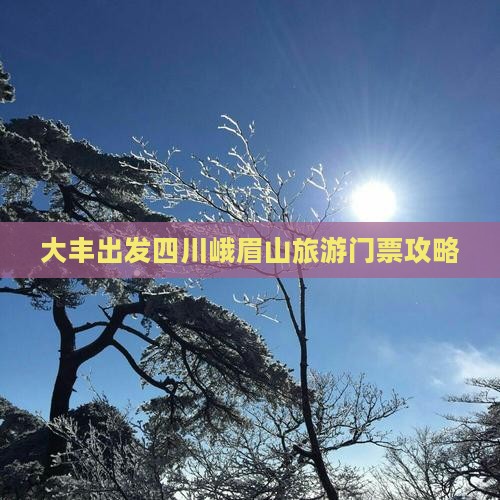 大丰出发四川峨眉山旅游门票攻略