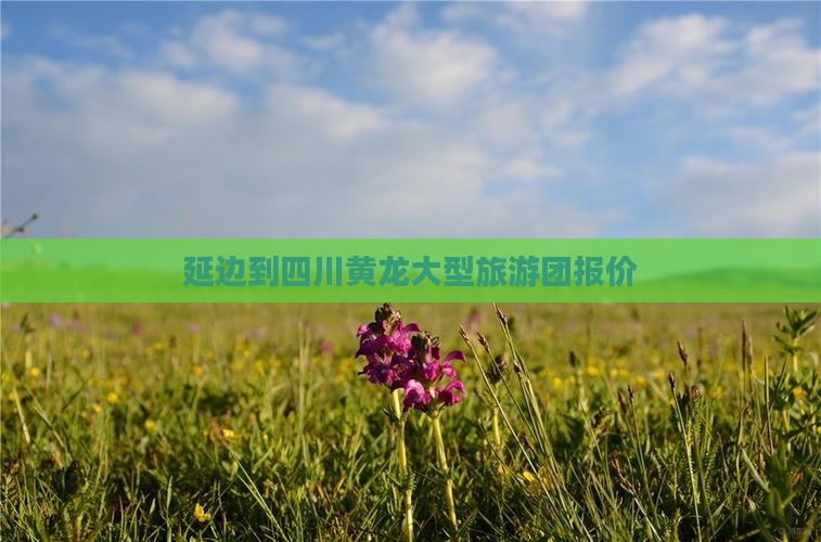 延边到四川黄龙大型旅游团
