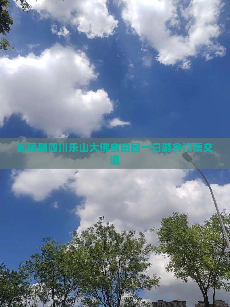 铜陵到四川乐山大佛自由团