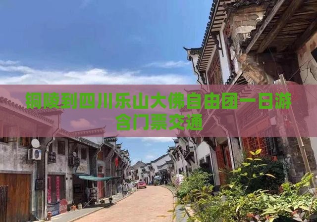 铜陵到四川乐山大佛自由团