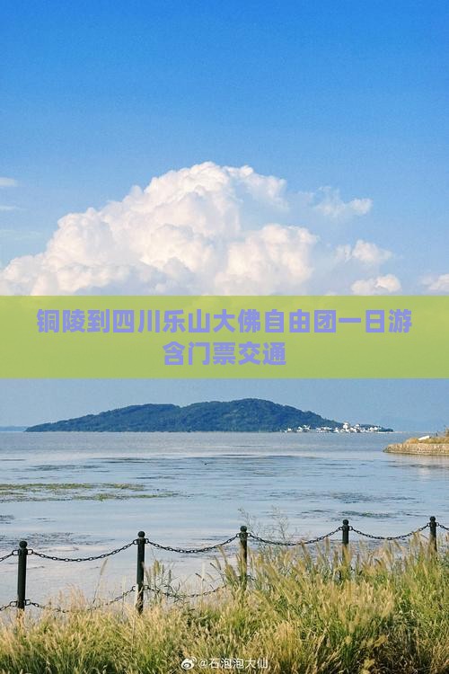 铜陵到四川乐山大佛自由团