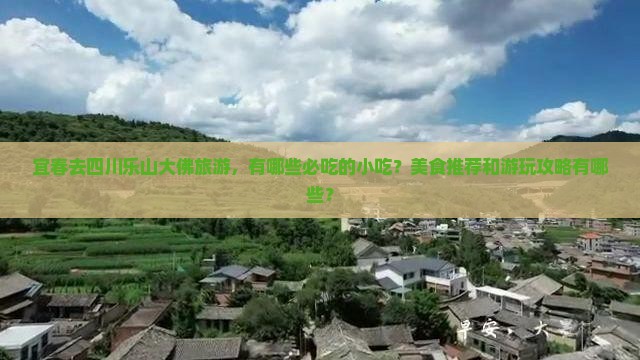 宜春去四川乐山大佛旅游小吃