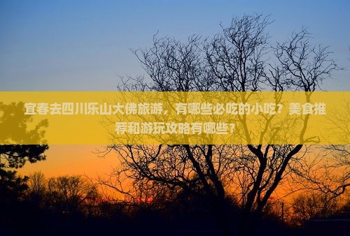 宜春去四川乐山大佛旅游小吃