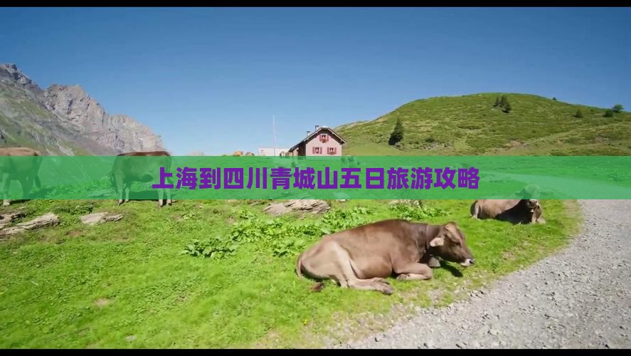 上海到四川青城山五日游